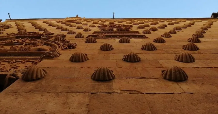 Foto 2 - La Casa de las Conchas, el oasis cultural en mitad de la pandemia