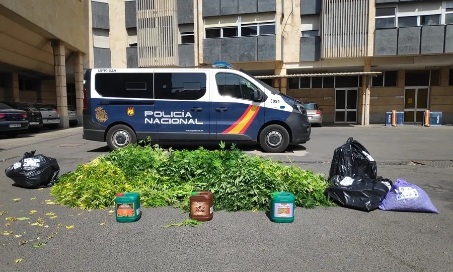 Foto 4 - Desmantelada una plantaci&oacute;n de marihuana en una vivienda de planta baja de Salamanca