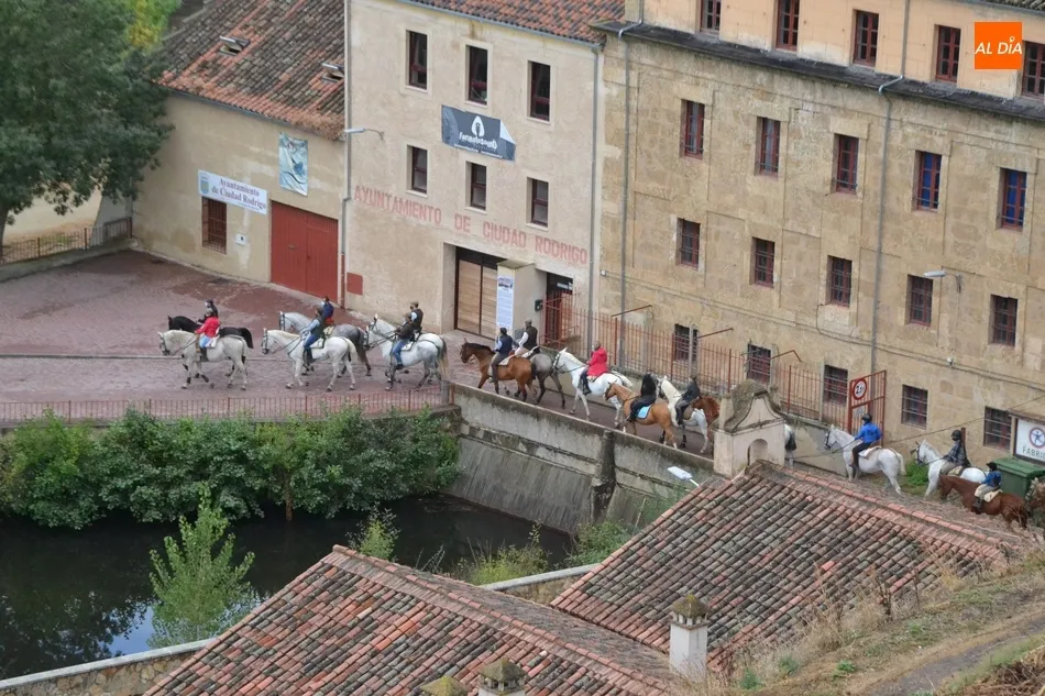 Foto 6 - Un grupo de 24 equinos evocan con la Ruta de Wellington el esp&iacute;ritu de la suspendida Feria del...