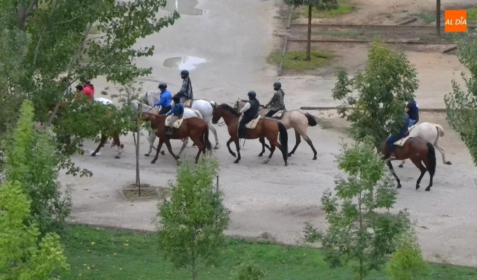 Foto 2 - Un grupo de 24 equinos evocan con la Ruta de Wellington el esp&iacute;ritu de la suspendida Feria del...