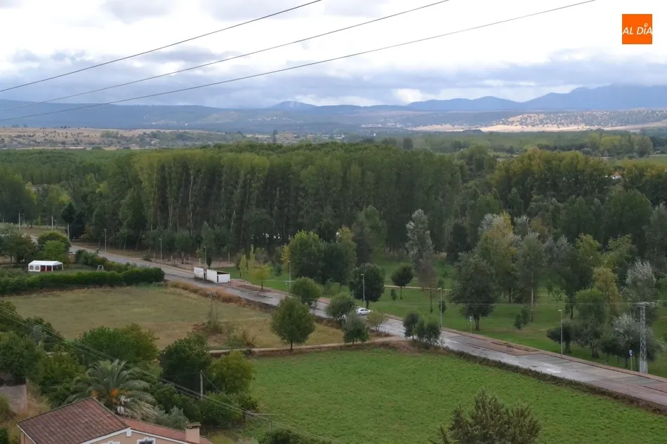 Foto 7 - La Alameda Vieja completar&aacute; en los pr&oacute;ximos meses la renovaci&oacute;n de todos sus &aacute;rboles  