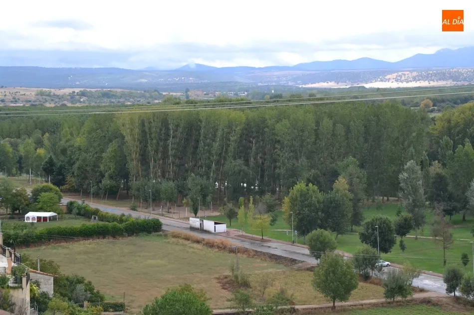 Foto 6 - La Alameda Vieja completar&aacute; en los pr&oacute;ximos meses la renovaci&oacute;n de todos sus &aacute;rboles  
