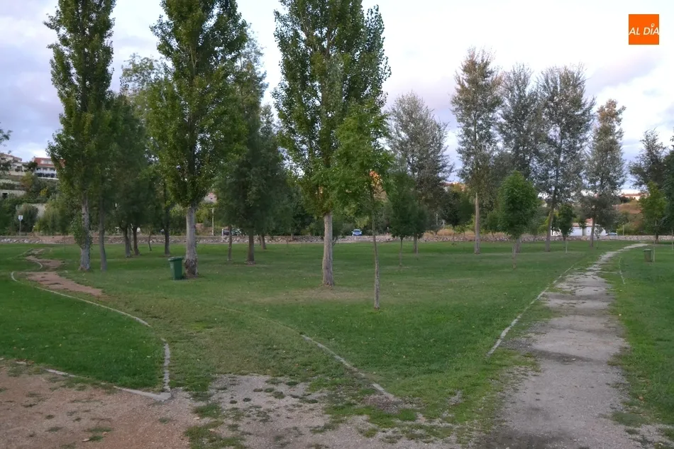 Foto 5 - La Alameda Vieja completar&aacute; en los pr&oacute;ximos meses la renovaci&oacute;n de todos sus &aacute;rboles  
