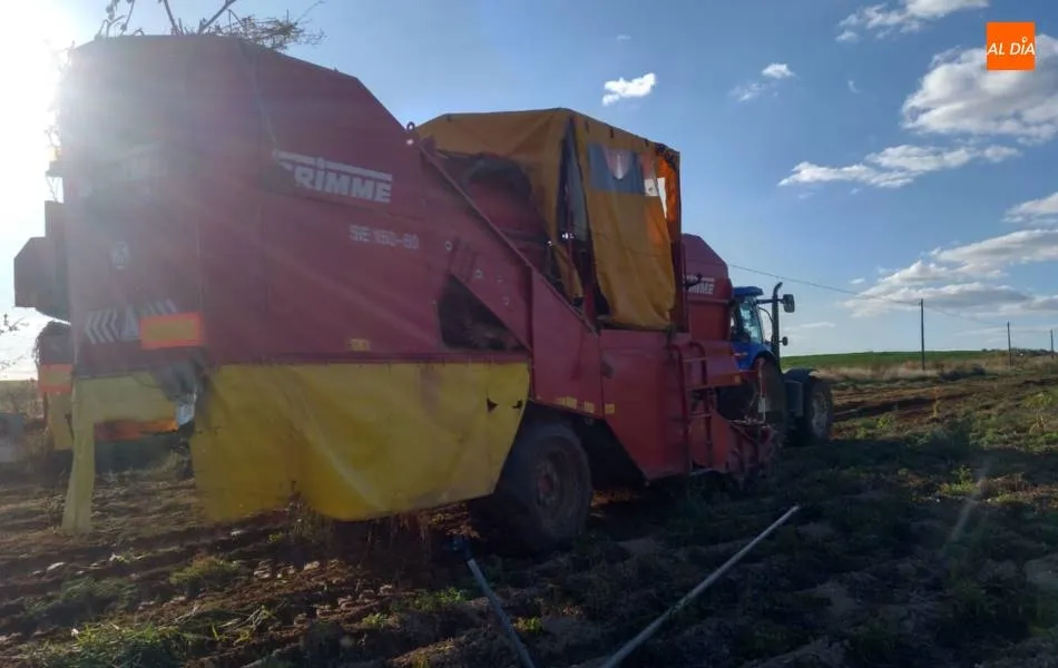 Portugal demanda patata roja española  