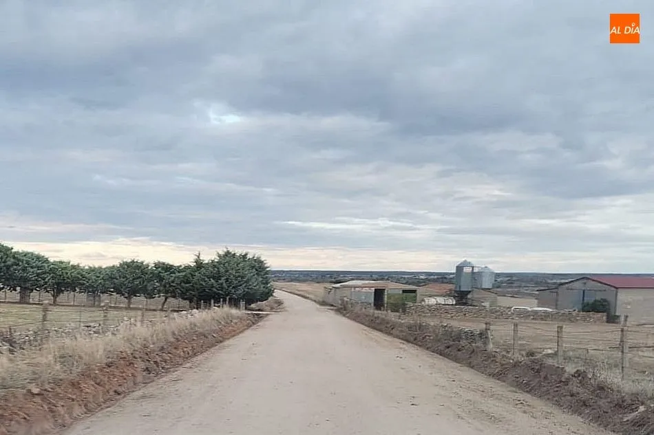 Foto 7 - El Ayuntamiento de Vitigudino contin&uacute;a con la reparaci&oacute;n de caminos de concentraci&oacute;n en el...