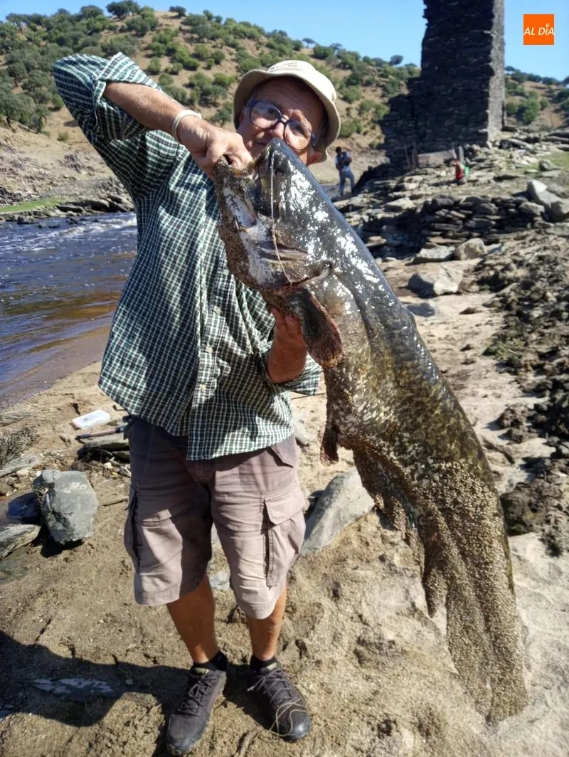 Foto 4 - Integrantes de la Asociaci&oacute;n de Pescadores Santa Teresa, tras los siluros en el estuario del...