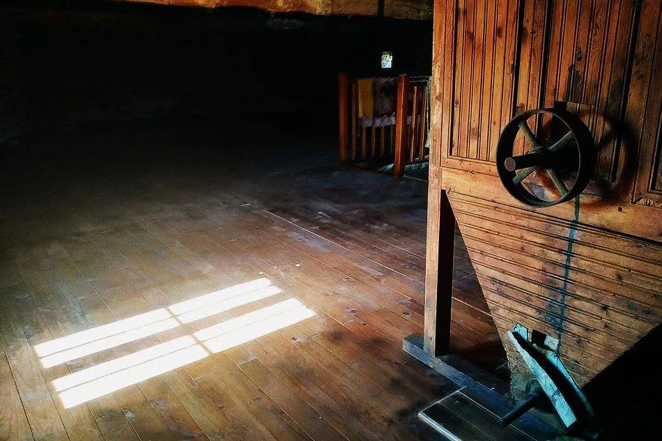 Molino de Sofía de la Bondad y Cuadra