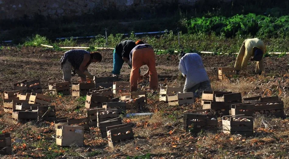 Agricultura familiar y sostenible