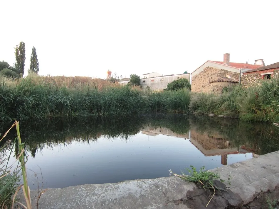 Charca en Amatos de Alba