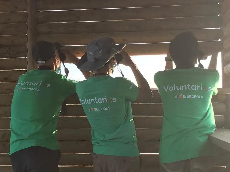 Foto 3 - Iberdrola involucra a 4.000 empleados en el D&iacute;a del Voluntariado, adaptado a las condiciones del...