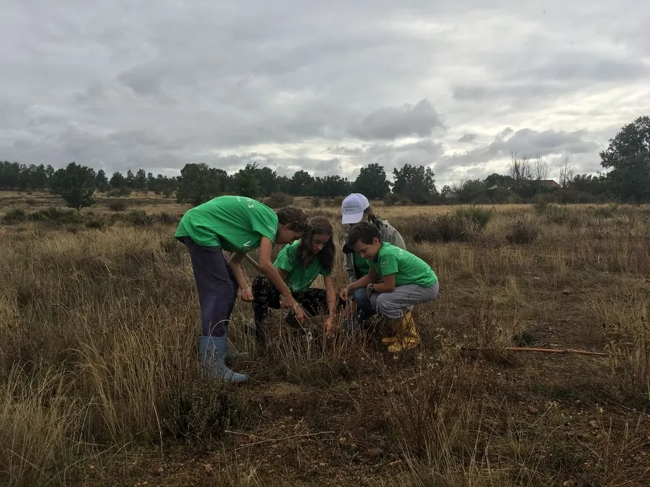 Foto 2 - Iberdrola involucra a 4.000 empleados en el D&iacute;a del Voluntariado, adaptado a las condiciones del...