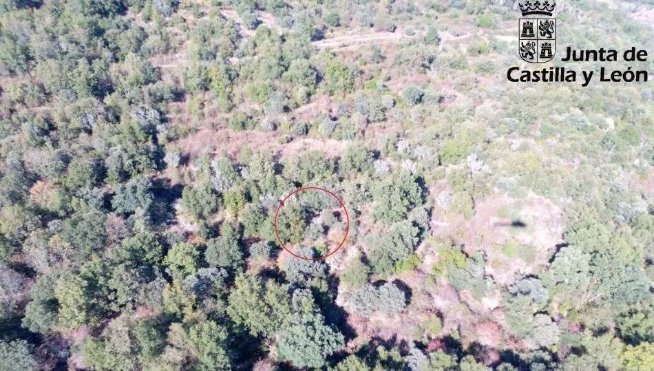 Zona de difícil acceso de la Ruta de los Prodigios donde tuvo lugar el rescate. Foto JCYL