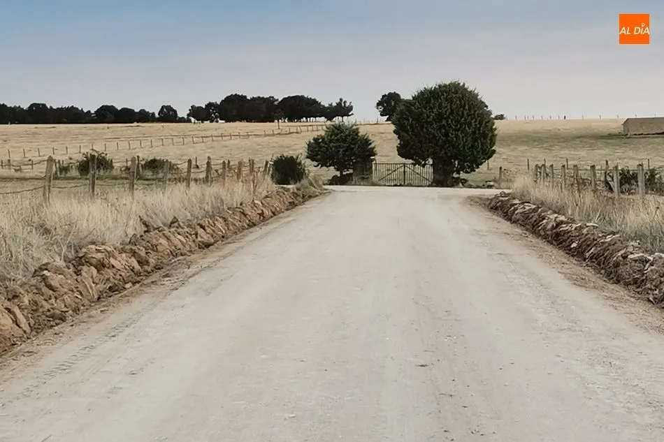 Foto 10 - El Ayuntamiento de Vitigudino inicia este mi&eacute;rcoles la reparaci&oacute;n de caminos del sector 4  