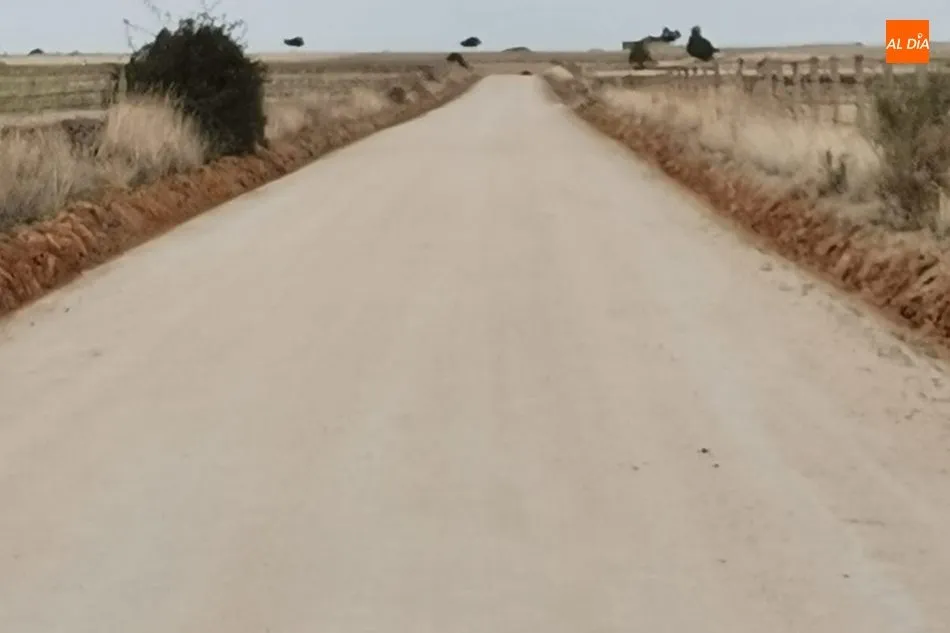 Foto 4 - El Ayuntamiento de Vitigudino inicia este mi&eacute;rcoles la reparaci&oacute;n de caminos del sector 4  