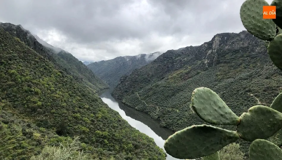 La Raya a debate y estudio en un congreso online entre el 1 y 3 de octubre