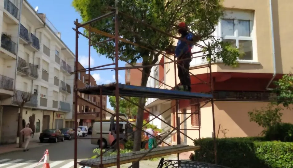 Trabajos de desbroce en el barrio de San Miguel
