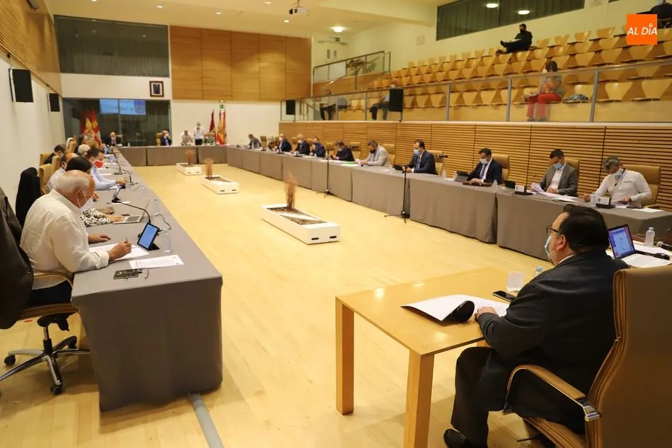 Foto 3 - La Diputaci&oacute;n pide al Gobierno el levantamiento de la regla de gasto y fondos para las entidades...