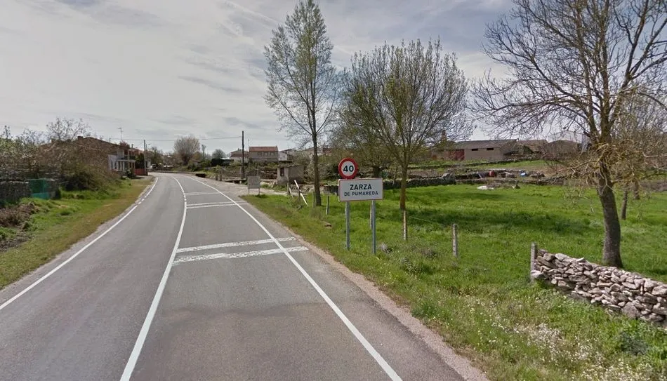 Localidad de Zarza de Pumareda - Google Maps