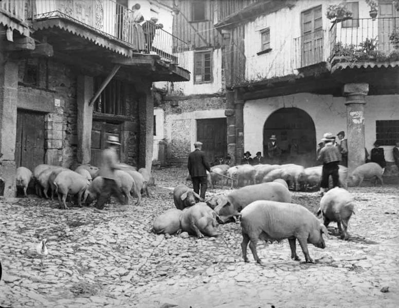 Foto 5 - La Alberca, primer municipio espa&ntilde;ol declarado Conjunto Hist&oacute;rico-Art&iacute;stico