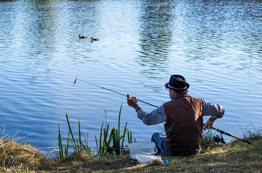 Tiempo de deleite y reflexión