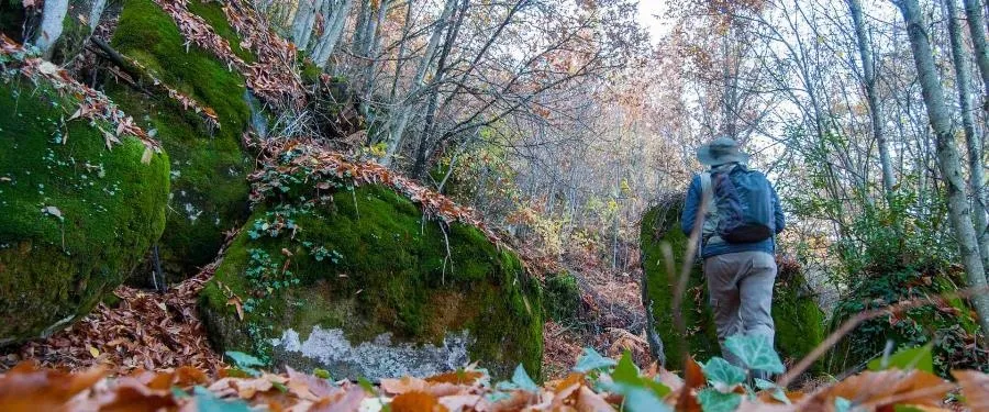 Foto 2 - El sendero micol&oacute;gico entre Montemayor del R&iacute;o y El Cerro, un paseo recomendable