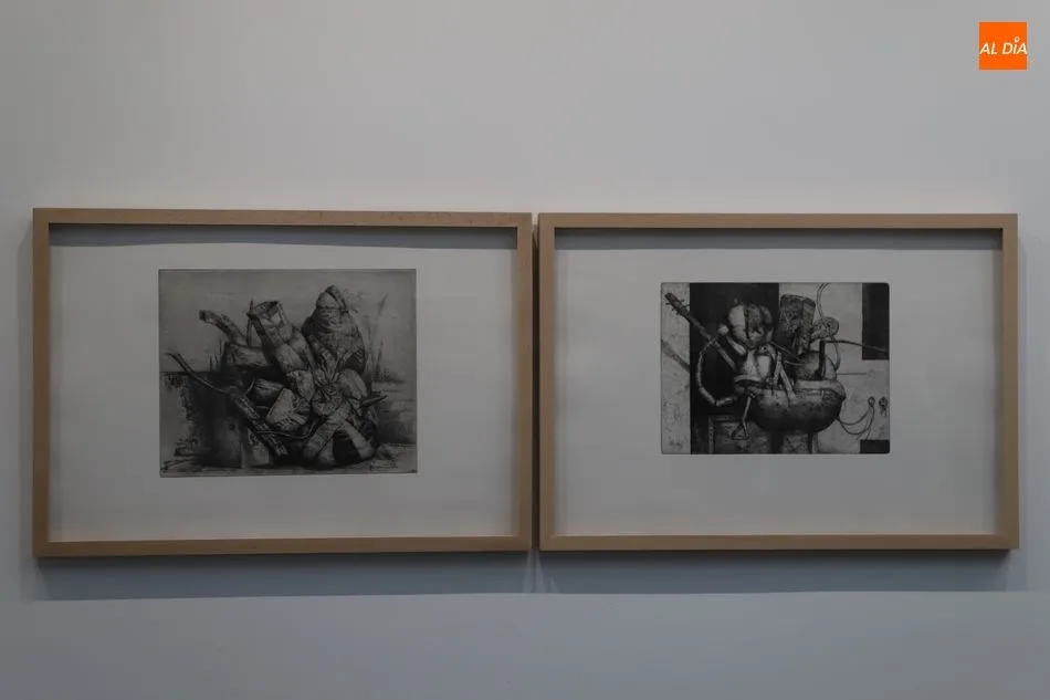 Foto 7 - Santa Marta acoge una exposici&oacute;n de grabados de Luis S&aacute;ez, Premio Castilla y Le&oacute;n de las Artes