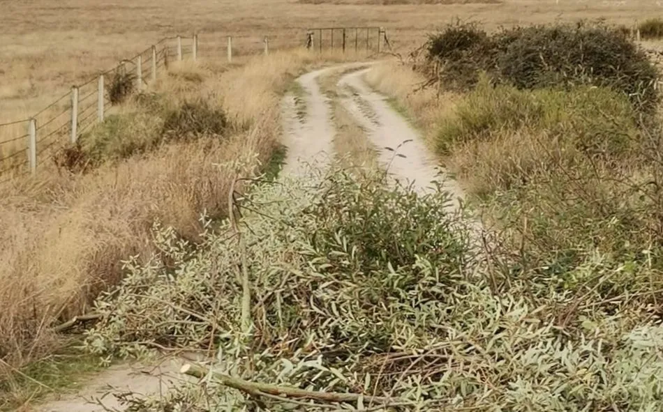 Camino a la derecha del pueblo de Guadramiro antes del arreglo