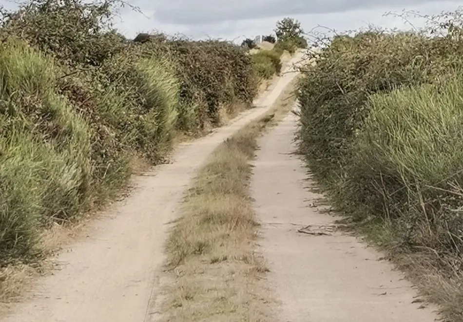 Foto 4 - De simples roderas a pistas pecuarias en Vitigudino &nbsp;  
