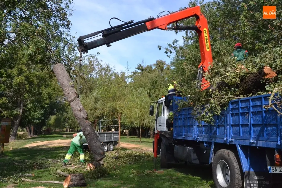Retirados una decena de árboles en mal estado o caídos al río en el entorno de El Picón  