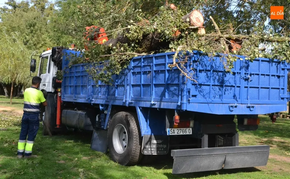 Foto 11 - Retirados una decena de &aacute;rboles en mal estado o ca&iacute;dos al r&iacute;o en el entorno de El Pic&oacute;n  