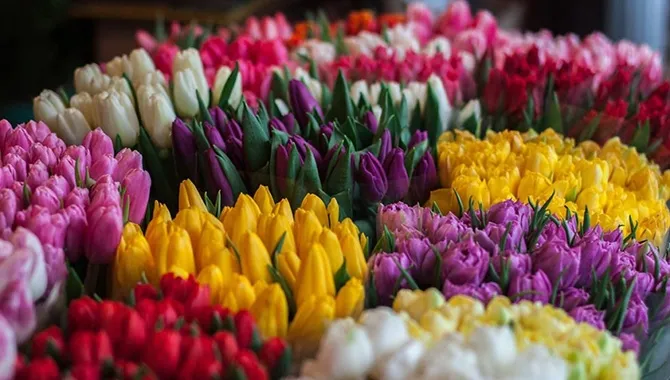 Las Floristerías de Peñaranda se unen para poner en marcha unos criterios comunes en esta...