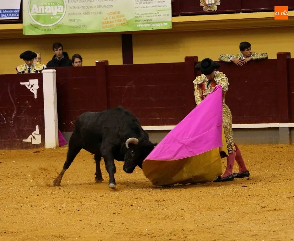 Los toros regresarán el próximo 18 de octubre a Alba de Tormes