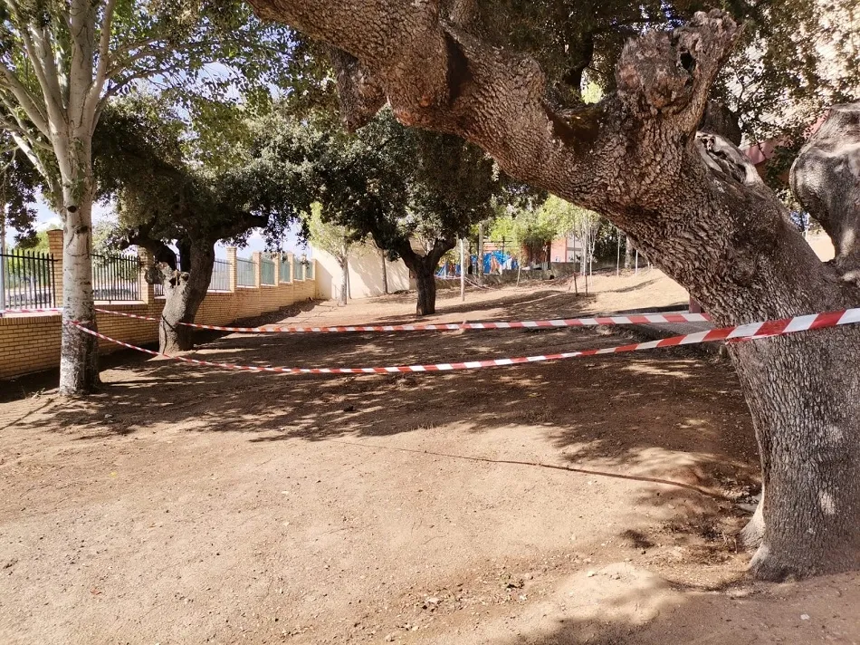Foto 2 - Terradillos, municipio seguro ante el Covid  
