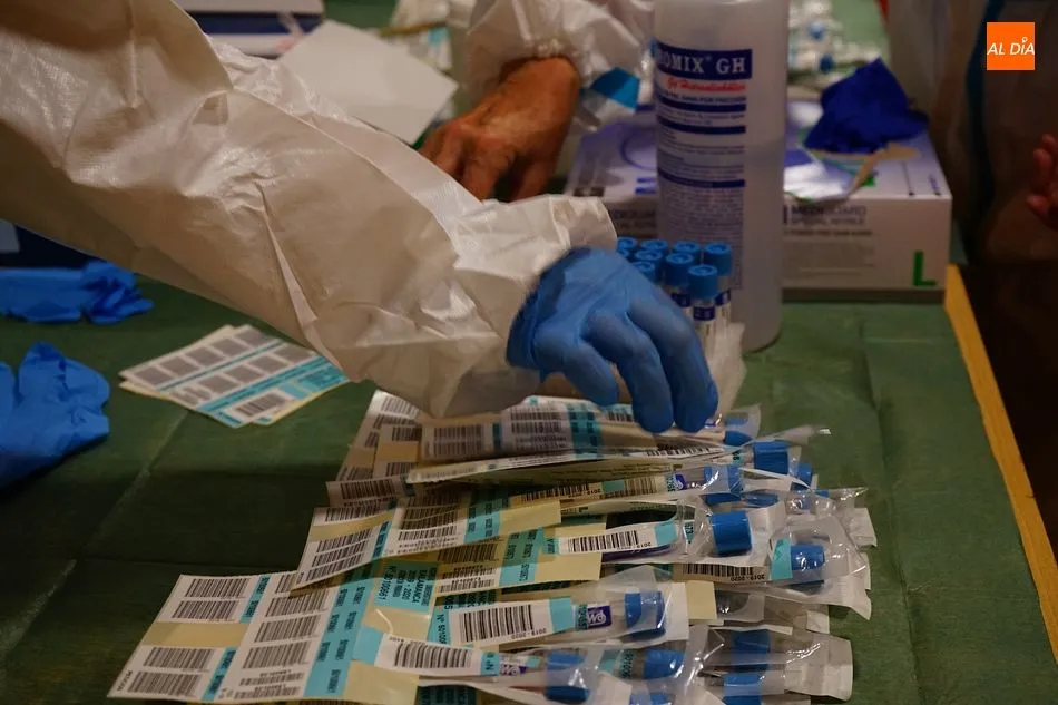 Un sanitario prepara pruebas PCR - Archivo