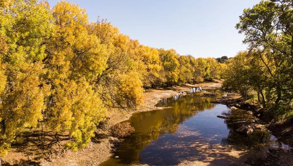 El otoño en La Ramajería  