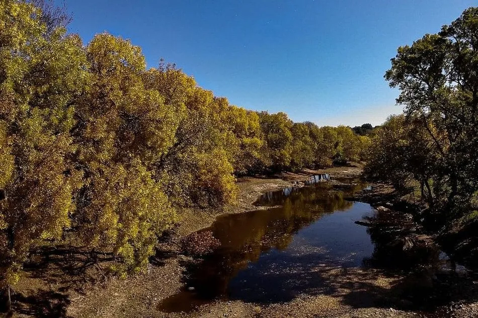 Foto 4 - El oto&ntilde;o en La Ramajer&iacute;a  