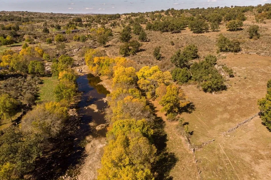 Foto 2 - El oto&ntilde;o en La Ramajer&iacute;a  
