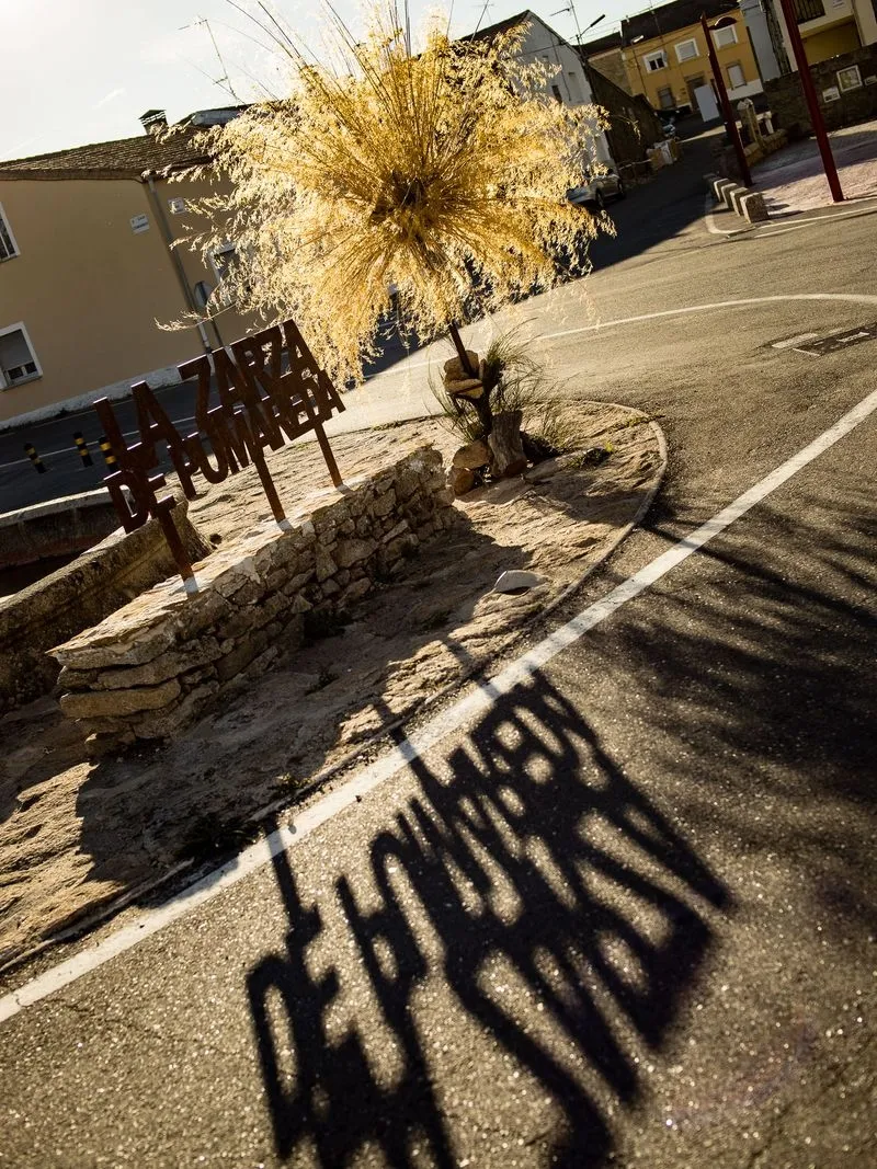 Foto 2 - La Zarza de Pumareda recibe al oto&ntilde;o con una &lsquo;palmera dorada&rsquo; realizada con pajas de barceo  