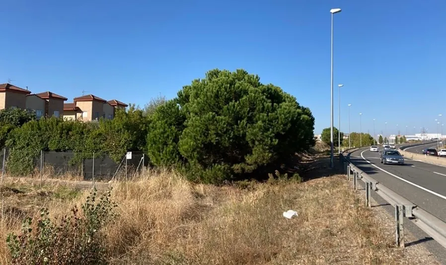 Foto 3 - Carbajosa solicita al Ministerio de Transporte pantallas ac&uacute;sticas en un tramo de la Ronda Sur de...