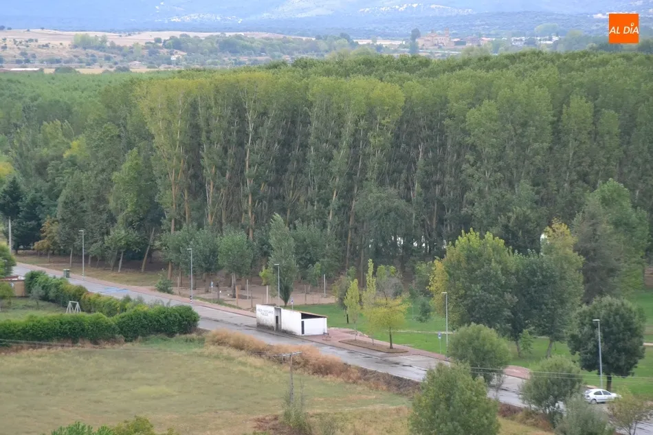 Anjiverforex se hace con el aprovechamiento maderero de los chopos de la Alameda Vieja  