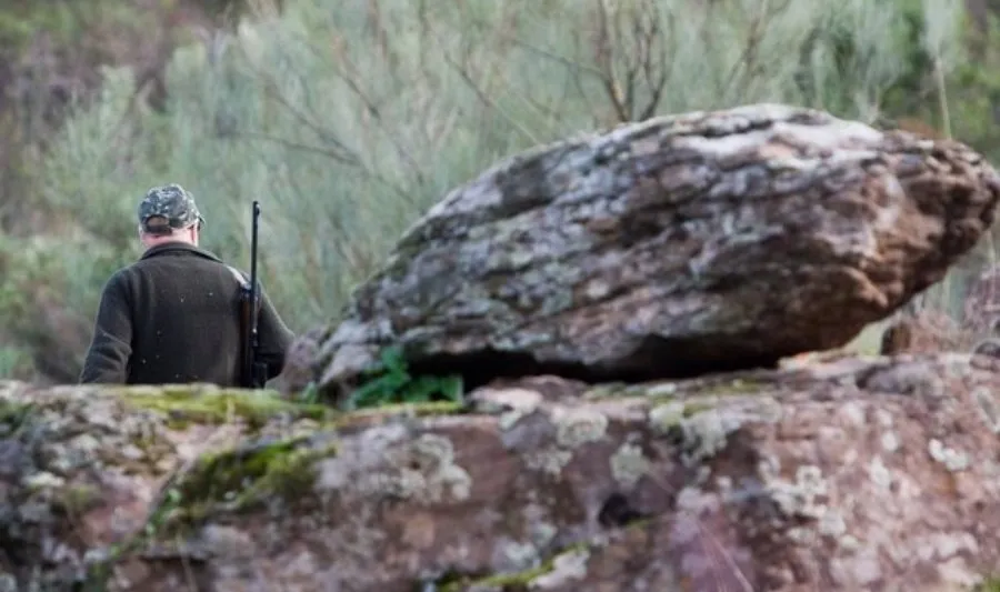 Cataluña y País Vasco son las dos únicas regiones en las que no ha habido ninguna persona que haya sufrido disparos accidentales relacionados con la actividad de caza por arma y tampoco ha habido ningún fallecido por esta causa. Foto EP