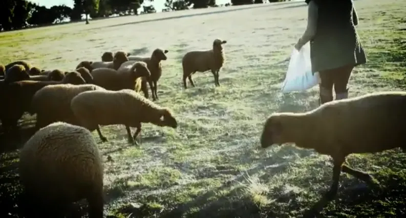 El Ayuntamiento se suma con un vídeo al Día Internacional de las Mujeres Rurales  