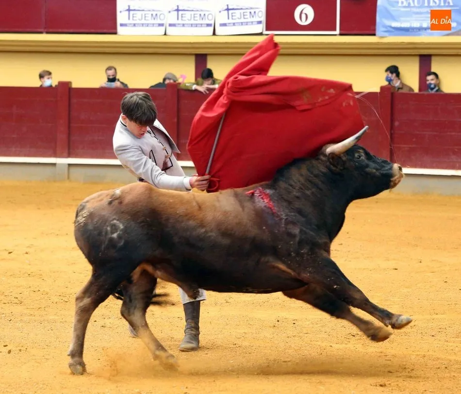 Foto 11 - Certamen Salamaq 2020 &ndash;&nbsp;Clases pr&aacute;cticas en Alba de Tormes
