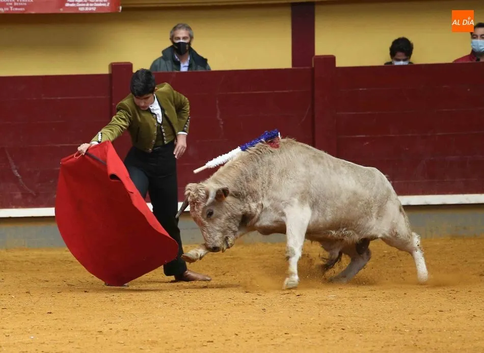 Foto 7 - Certamen Salamaq 2020 &ndash;&nbsp;Clases pr&aacute;cticas en Alba de Tormes
