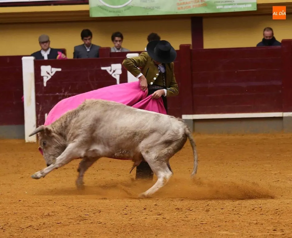 Foto 6 - Certamen Salamaq 2020 &ndash;&nbsp;Clases pr&aacute;cticas en Alba de Tormes