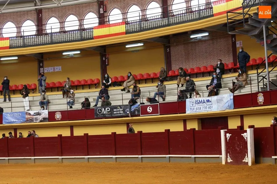 Foto 5 - Certamen Salamaq 2020 &ndash;&nbsp;Clases pr&aacute;cticas en Alba de Tormes