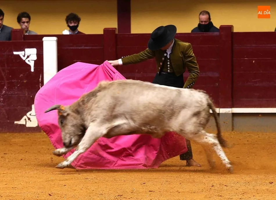 Foto 3 - Certamen Salamaq 2020 &ndash;&nbsp;Clases pr&aacute;cticas en Alba de Tormes