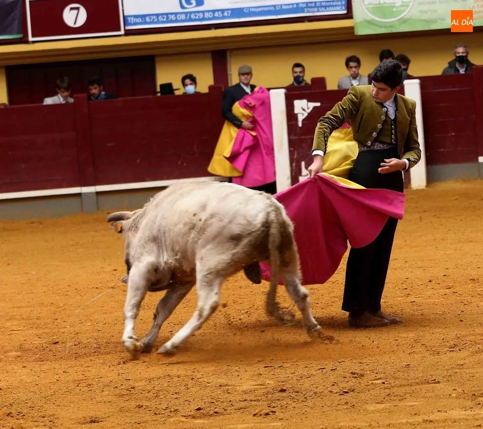 Foto 2 - Certamen Salamaq 2020 &ndash;&nbsp;Clases pr&aacute;cticas en Alba de Tormes