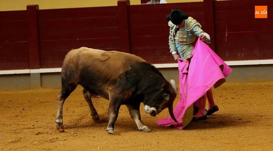 Triunfo de Ismael Martín en la novillada de Alba de Tormes
