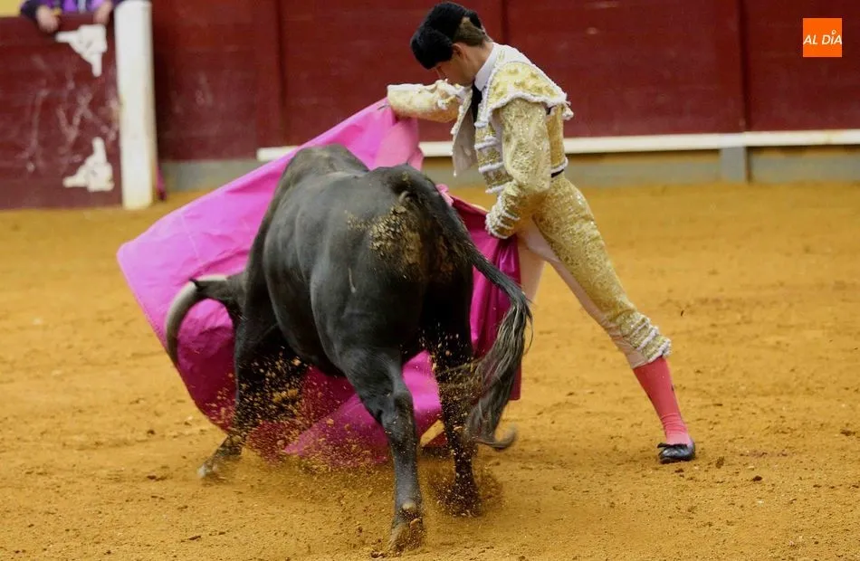 Foto 10 - Triunfo de Ismael Mart&iacute;n en la novillada de Alba de Tormes